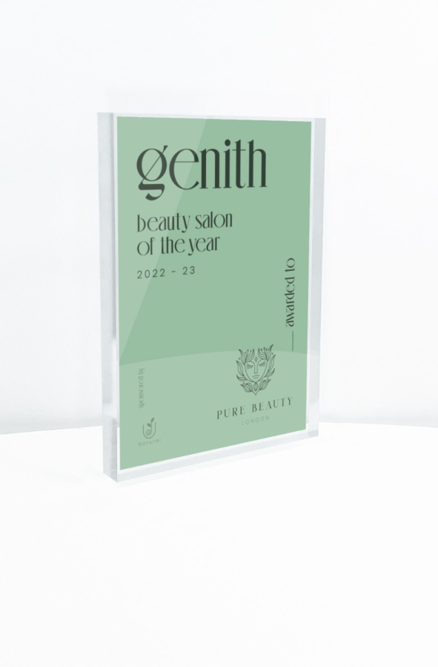 clear acrylic award